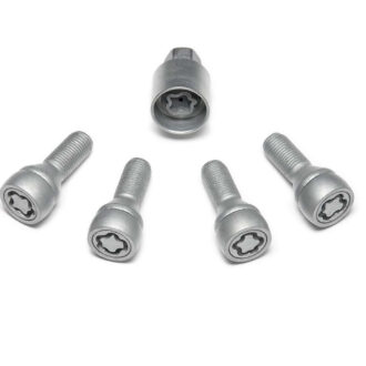 Tornillos Antirrobo Llantas Aleación Renault Dacia | Ref. 8201724187